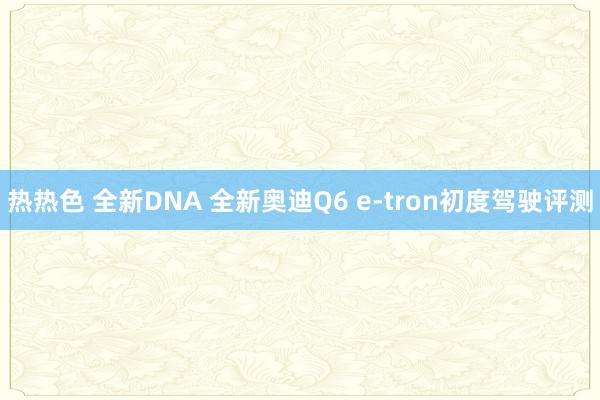 热热色 全新DNA 全新奥迪Q6 e-tron初度驾驶评测