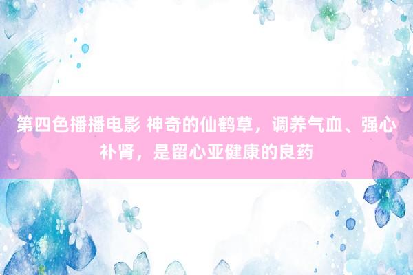 第四色播播电影 神奇的仙鹤草，调养气血、强心补肾，是留心亚健康的良药