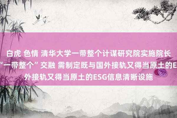 白虎 色情 清华大学一带整个计谋研究院实施院长史志钦：ESG与“一带整个”交融 需制定既与国外接轨又得当原土的ESG信息清晰设施