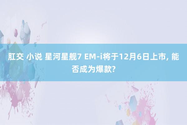 肛交 小说 星河星舰7 EM-i将于12月6日上市， 能否成为爆款?