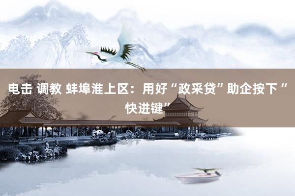 电击 调教 蚌埠淮上区：用好“政采贷”助企按下“快进键”