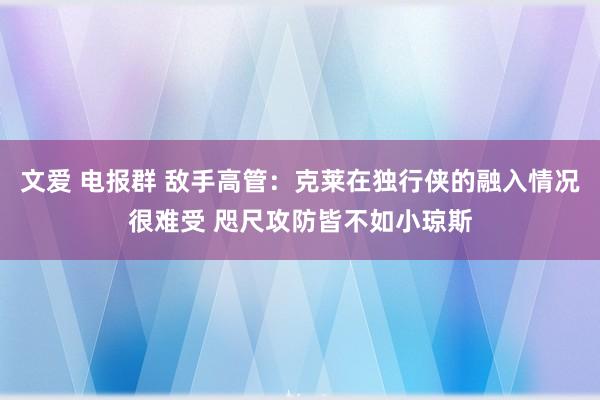 文爱 电报群 敌手高管：克莱在独行侠的融入情况很难受 咫尺攻防皆不如小琼斯