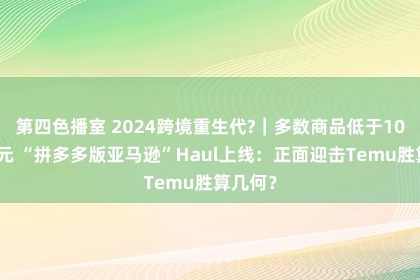 第四色播室 2024跨境重生代?｜多数商品低于10好意思元 “拼多多版亚马逊”Haul上线：正面迎击Temu胜算几何？