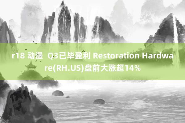 r18 动漫  Q3已毕盈利 Restoration Hardware(RH.US)盘前大涨超14%