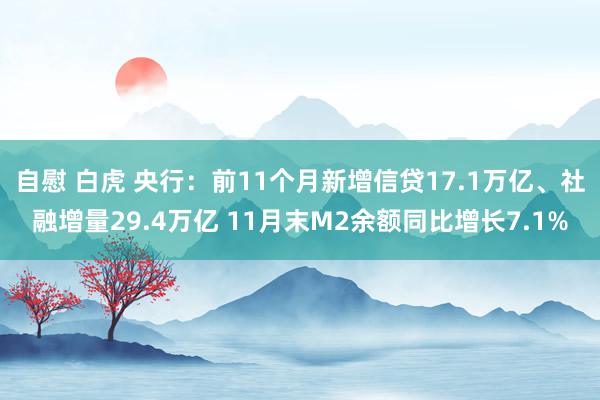 自慰 白虎 央行：前11个月新增信贷17.1万亿、社融增量29.4万亿 11月末M2余额同比增长7.1%