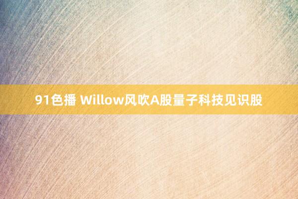 91色播 Willow风吹A股量子科技见识股