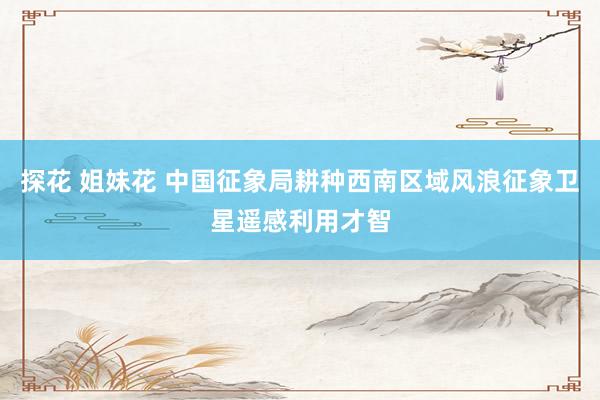 探花 姐妹花 中国征象局耕种西南区域风浪征象卫星遥感利用才智