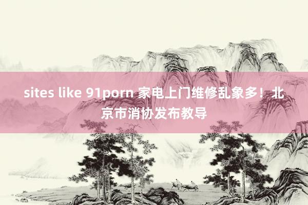 sites like 91porn 家电上门维修乱象多！北京市消协发布教导