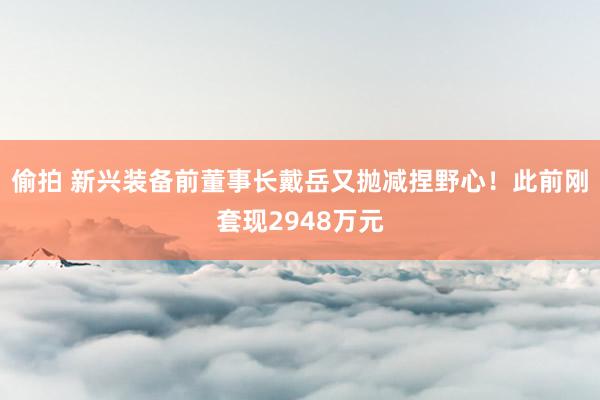 偷拍 新兴装备前董事长戴岳又抛减捏野心！此前刚套现2948万元