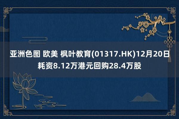 亚洲色图 欧美 枫叶教育(01317.HK)12月20日耗资8.12万港元回购28.4万股