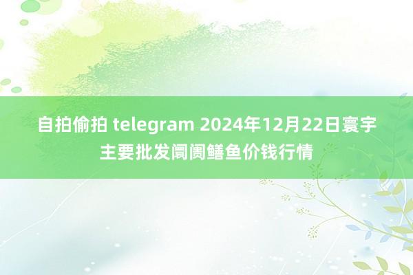 自拍偷拍 telegram 2024年12月22日寰宇主要批发阛阓鳝鱼价钱行情
