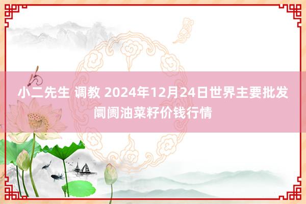 小二先生 调教 2024年12月24日世界主要批发阛阓油菜籽价钱行情