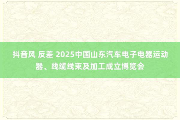 抖音风 反差 2025中国山东汽车电子电器运动器、线缆线束及加工成立博览会