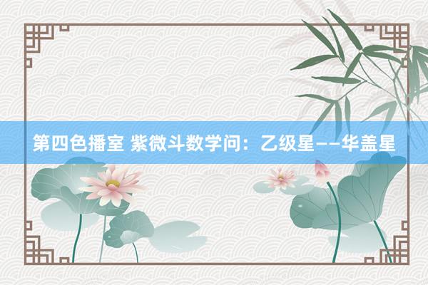 第四色播室 紫微斗数学问：乙级星——华盖星