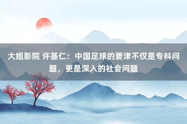 大姐影院 许基仁：中国足球的要津不仅是专科问题，更是深入的社会问题