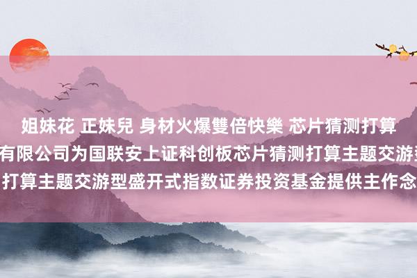 姐妹花 正妹兒 身材火爆雙倍快樂 芯片猜测打算: 对于得意中信证券股份有限公司为国联安上证科创板芯片猜测打算主题交游型盛开式指数证券投资基金提供主作念市工作的公告