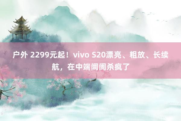 户外 2299元起！vivo S20漂亮、粗放、长续航，在中端阛阓杀疯了