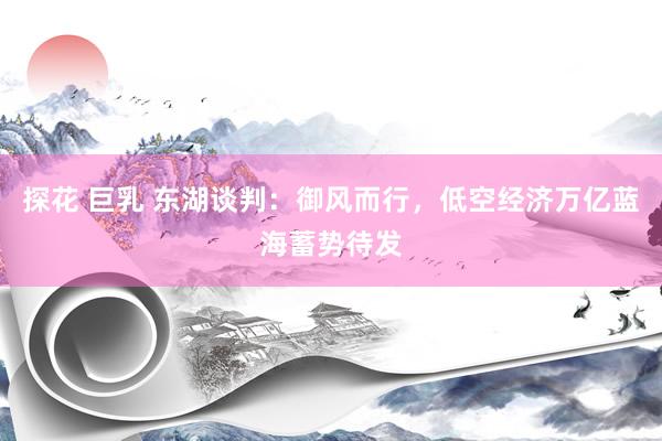 探花 巨乳 东湖谈判：御风而行，低空经济万亿蓝海蓄势待发