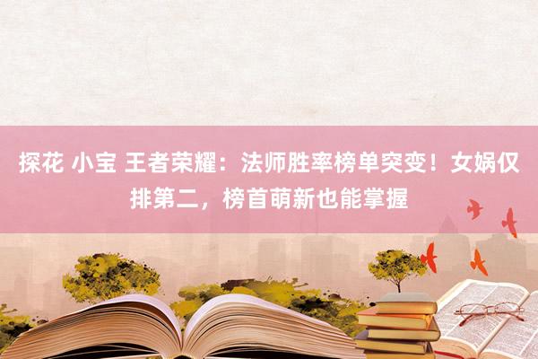 探花 小宝 王者荣耀：法师胜率榜单突变！女娲仅排第二，榜首萌新也能掌握
