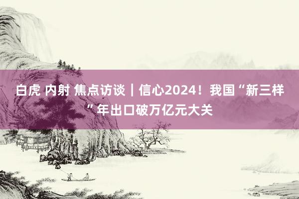 白虎 内射 焦点访谈｜信心2024！我国“新三样”年出口破万亿元大关
