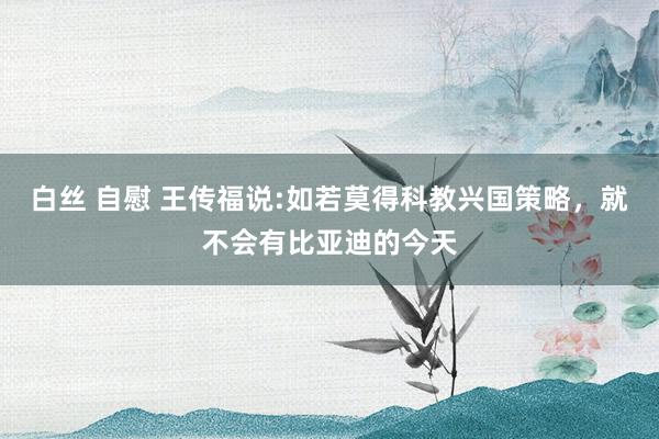 白丝 自慰 王传福说:如若莫得科教兴国策略，就不会有比亚迪的今天