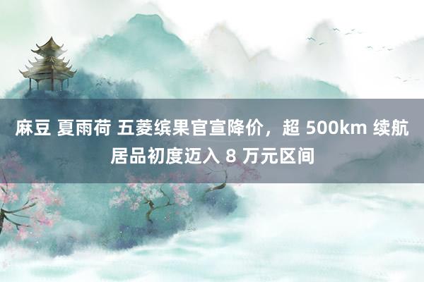 麻豆 夏雨荷 五菱缤果官宣降价，超 500km 续航居品初度迈入 8 万元区间