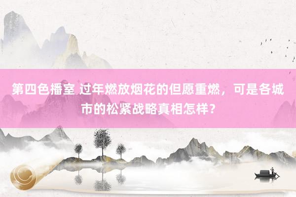 第四色播室 过年燃放烟花的但愿重燃，可是各城市的松紧战略真相怎样？