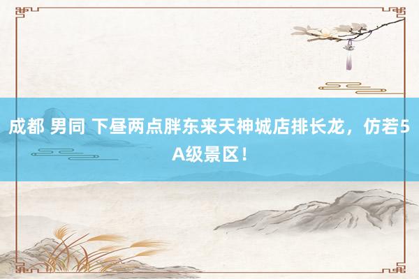 成都 男同 下昼两点胖东来天神城店排长龙，仿若5A级景区！
