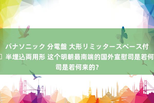 パナソニック 分電盤 大形リミッタースペース付 露出・半埋込両用形 这个明朝最南端的国外宣慰司是若何来的？