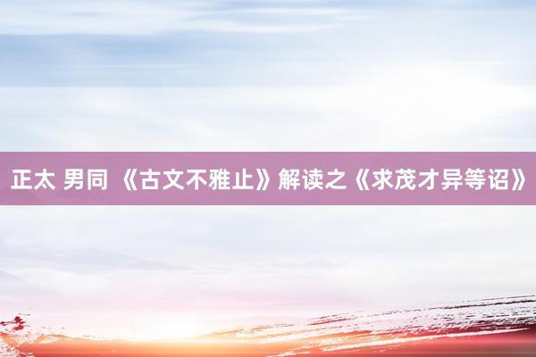 正太 男同 《古文不雅止》解读之《求茂才异等诏》