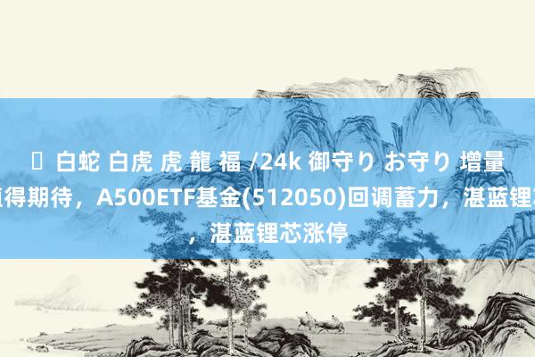✨白蛇 白虎 虎 龍 福 /24k 御守り お守り 增量战略值得期待，A500ETF基金(512050)回调蓄力，湛蓝锂芯涨停