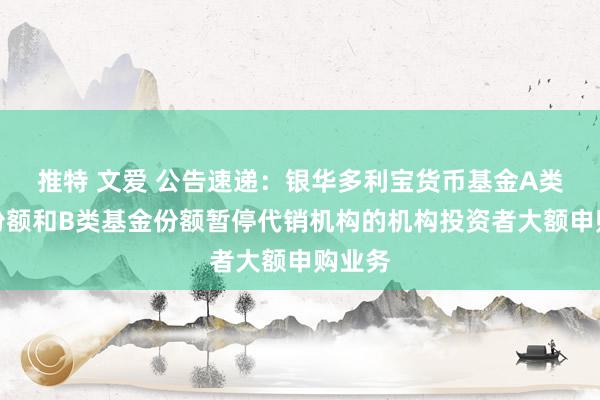 推特 文爱 公告速递：银华多利宝货币基金A类基金份额和B类基金份额暂停代销机构的机构投资者大额申购业务
