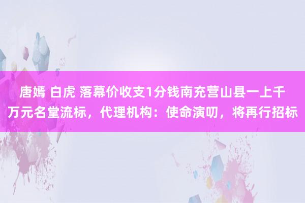 唐嫣 白虎 落幕价收支1分钱南充营山县一上千万元名堂流标，代理机构：使命演叨，将再行招标