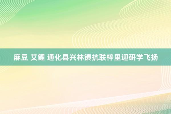 麻豆 艾鲤 通化县兴林镇抗联梓里迎研学飞扬
