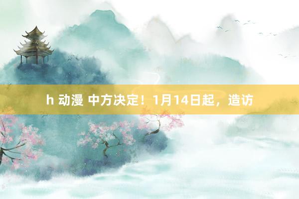 h 动漫 中方决定！1月14日起，造访
