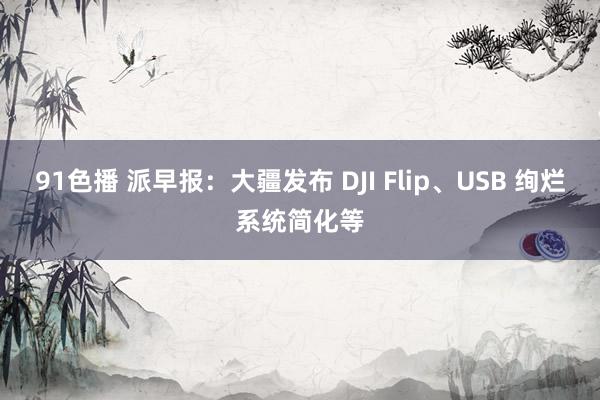 91色播 派早报：大疆发布 DJI Flip、USB 绚烂系统简化等