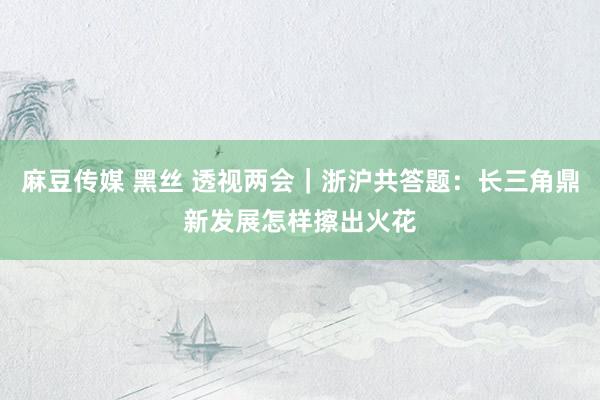 麻豆传媒 黑丝 透视两会｜浙沪共答题：长三角鼎新发展怎样擦出火花