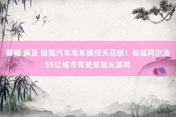 蘇暢 麻豆 极狐汽车电车操控天花板！极狐阿尔法S5让城市驾驶变指尖游戏
