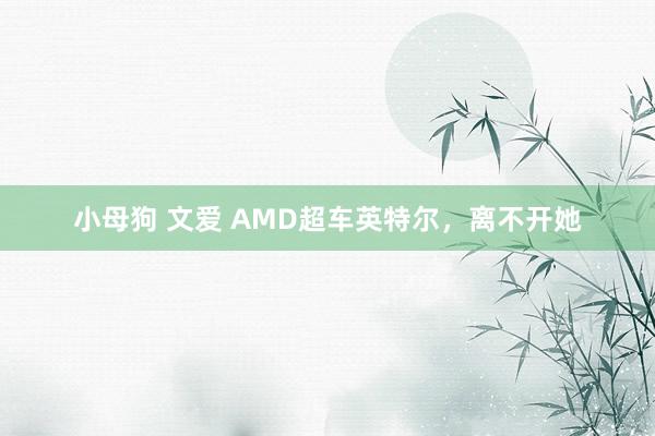 小母狗 文爱 AMD超车英特尔，离不开她