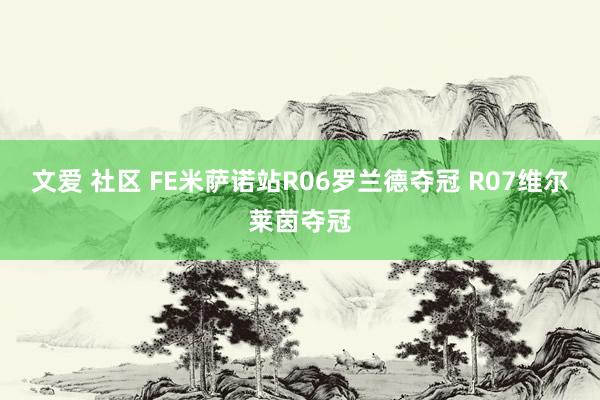 文爱 社区 FE米萨诺站R06罗兰德夺冠 R07维尔莱茵夺冠
