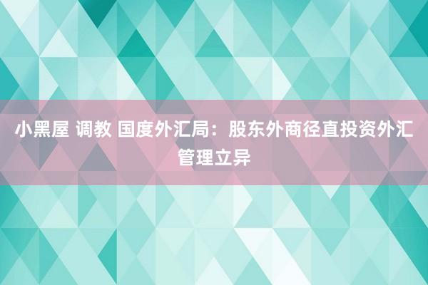 小黑屋 调教 国度外汇局：股东外商径直投资外汇管理立异