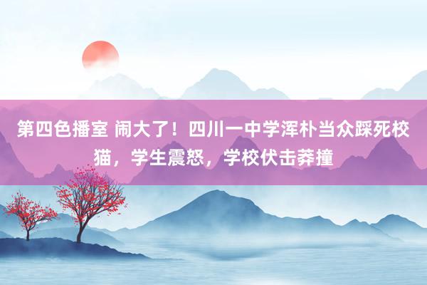 第四色播室 闹大了！四川一中学浑朴当众踩死校猫，学生震怒，学校伏击莽撞