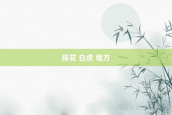 探花 白虎 组方