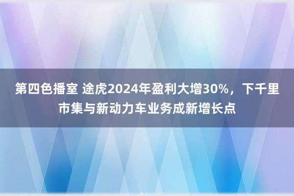 第四色播室 途虎2024年盈利大增30%，下千里市集与新动力车业务成新增长点