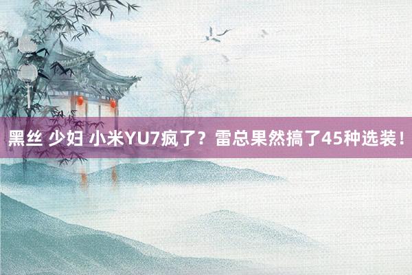 黑丝 少妇 小米YU7疯了？雷总果然搞了45种选装！