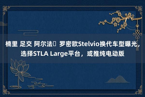 楠里 足交 阿尔法・罗密欧Stelvio换代车型曝光，选择STLA Large平台，或推纯电动版