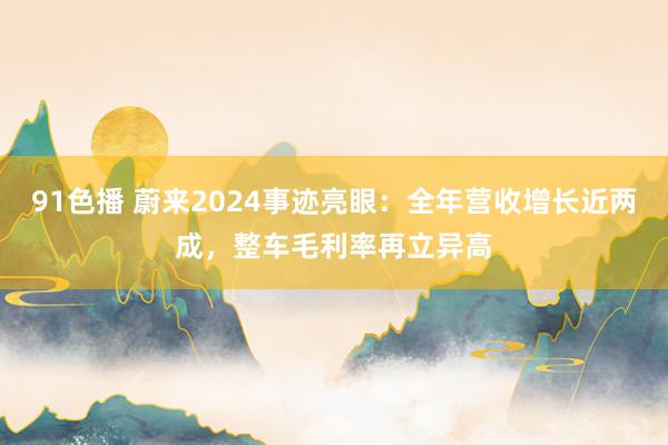 91色播 蔚来2024事迹亮眼：全年营收增长近两成，整车毛利率再立异高