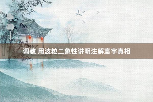 调教 用波粒二象性讲明注解寰宇真相