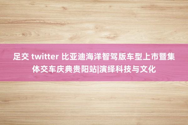 足交 twitter 比亚迪海洋智驾版车型上市暨集体交车庆典贵阳站|演绎科技与文化