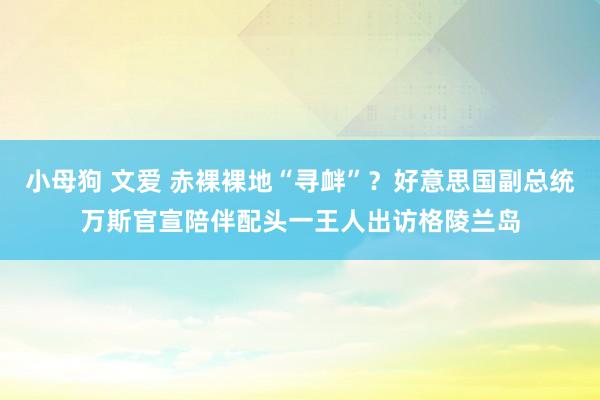 小母狗 文爱 赤裸裸地“寻衅”？好意思国副总统万斯官宣陪伴配头一王人出访格陵兰岛